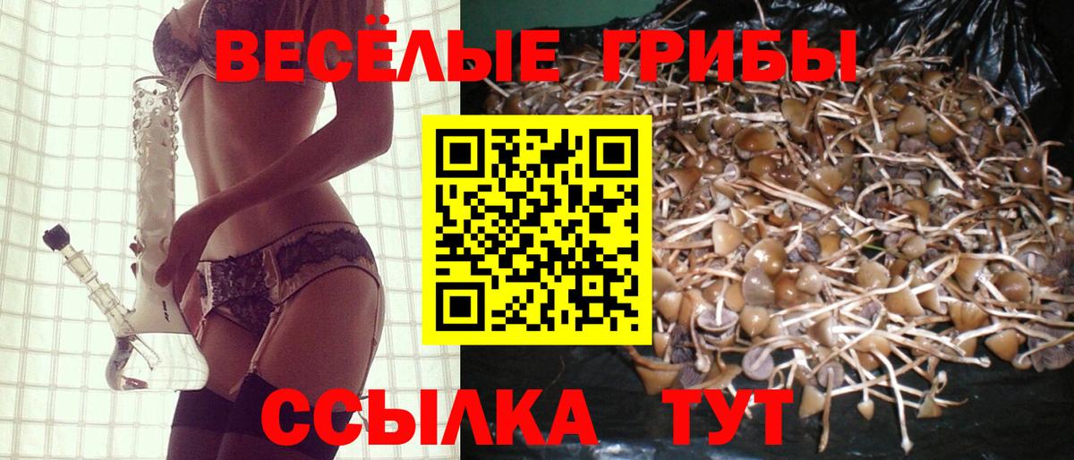 Галлюциногенные грибы GOLDEN TEACHER Дмитров