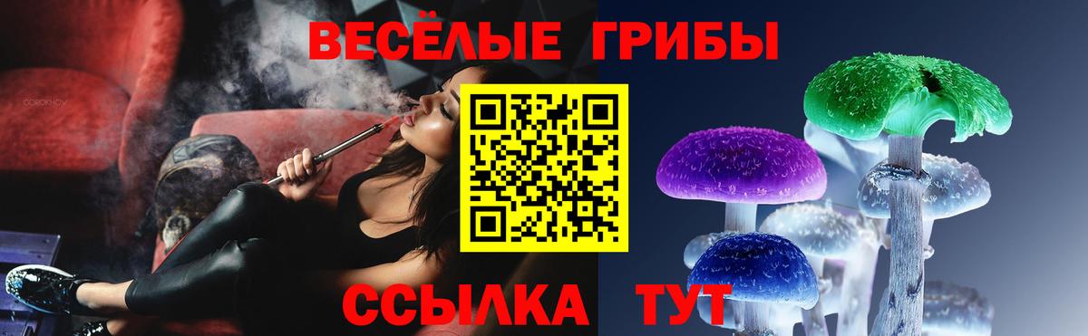 Дмитров  как найти закладки  Вход с VPN  Галлюциногенные грибы Magic Shrooms 